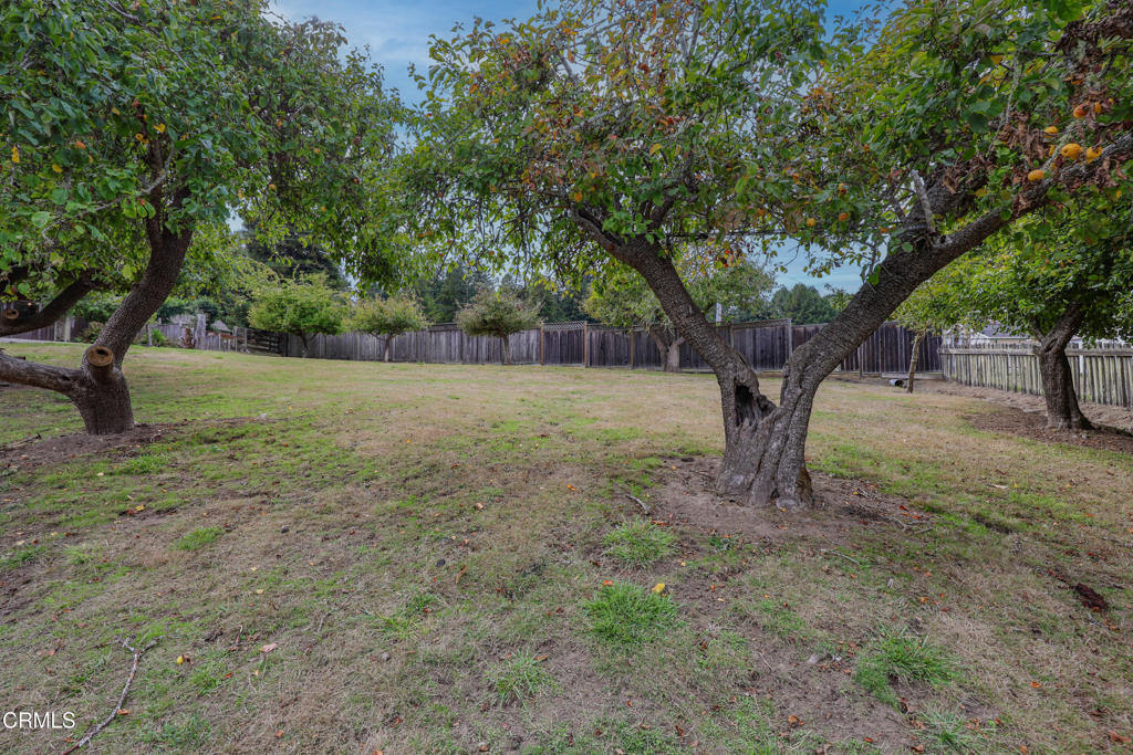 31600 Little Valley Road Fort Bragg, CA 95437 - Photo 43 of 75 BK6A3219 copy
