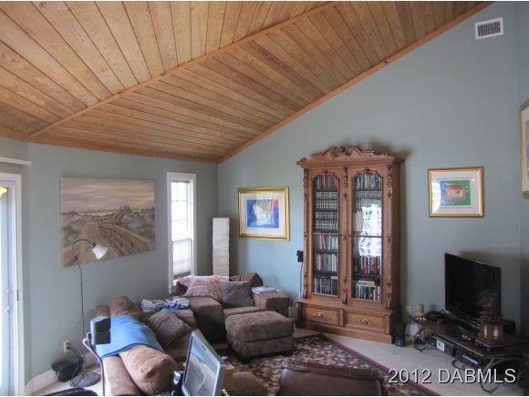 87 Buschman Drive Ponce Inlet, FL 32127 - Photo 6 of 24 Additional Photo