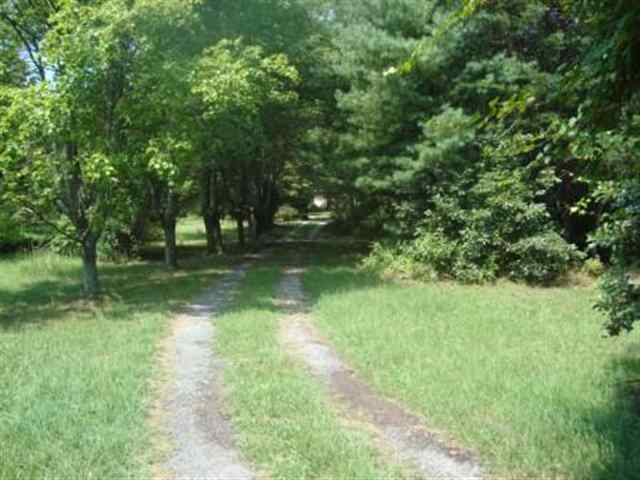 1147 Tugaloo Road Landrum, SC 29356 - Photo 11 of 17 Gallery Image 11