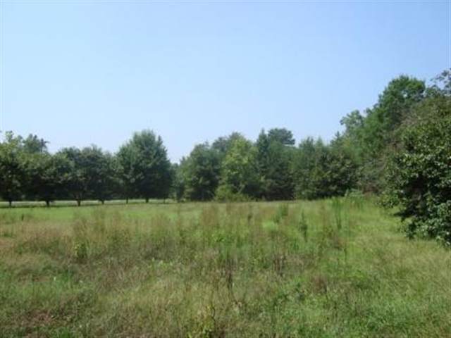 1147 Tugaloo Road Landrum, SC 29356 - Photo 4 of 17 Gallery Image 4