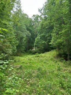 0 Log Cabin Road Cumming, GA 30028 - Photo 2 of 3
