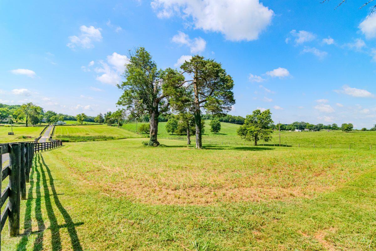 2333 Cane Ridge Road Carlisle, KY 40311 - Photo 54 of 55 2333CaneRidge-0002