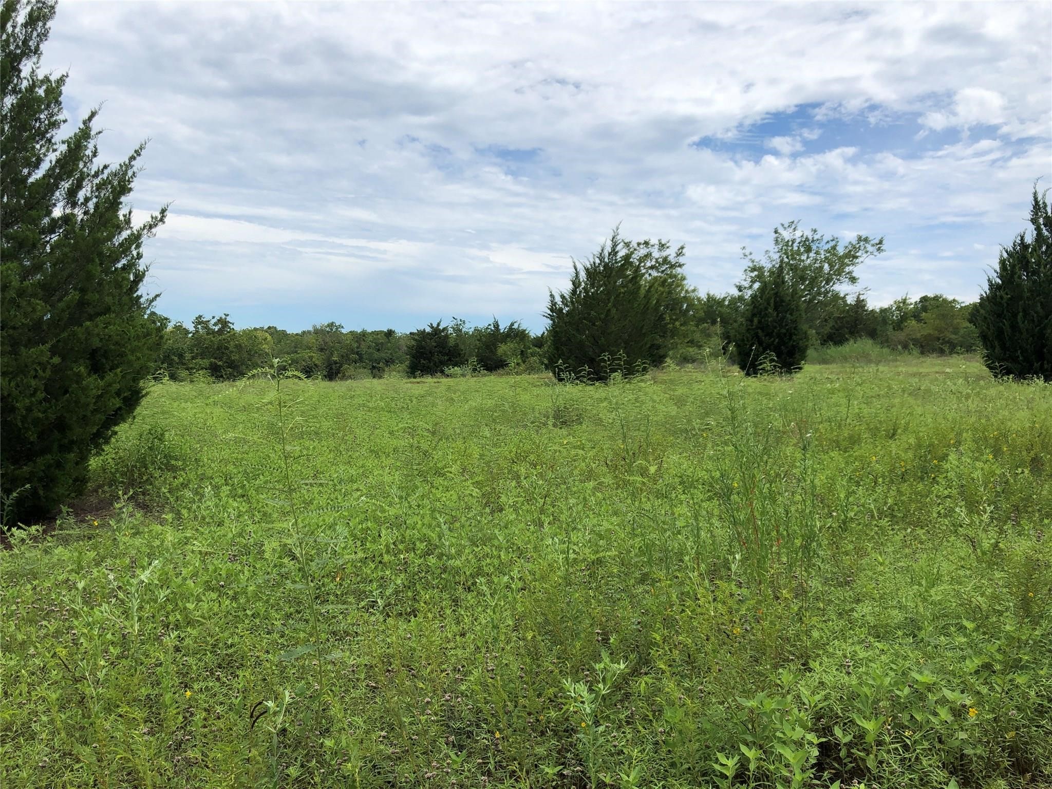 1 Steele Road Highlands, TX 77562 - Photo 24 of 35