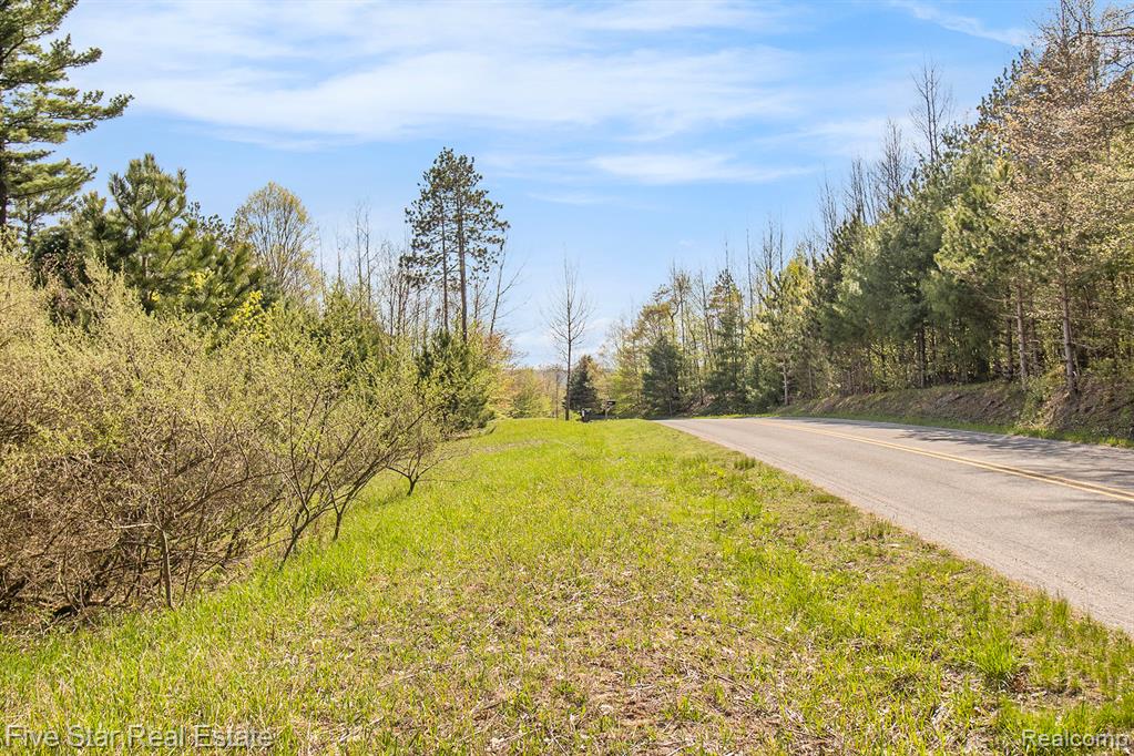 0 Smith Road Onekama, MI 49675 - Photo 10 of 23