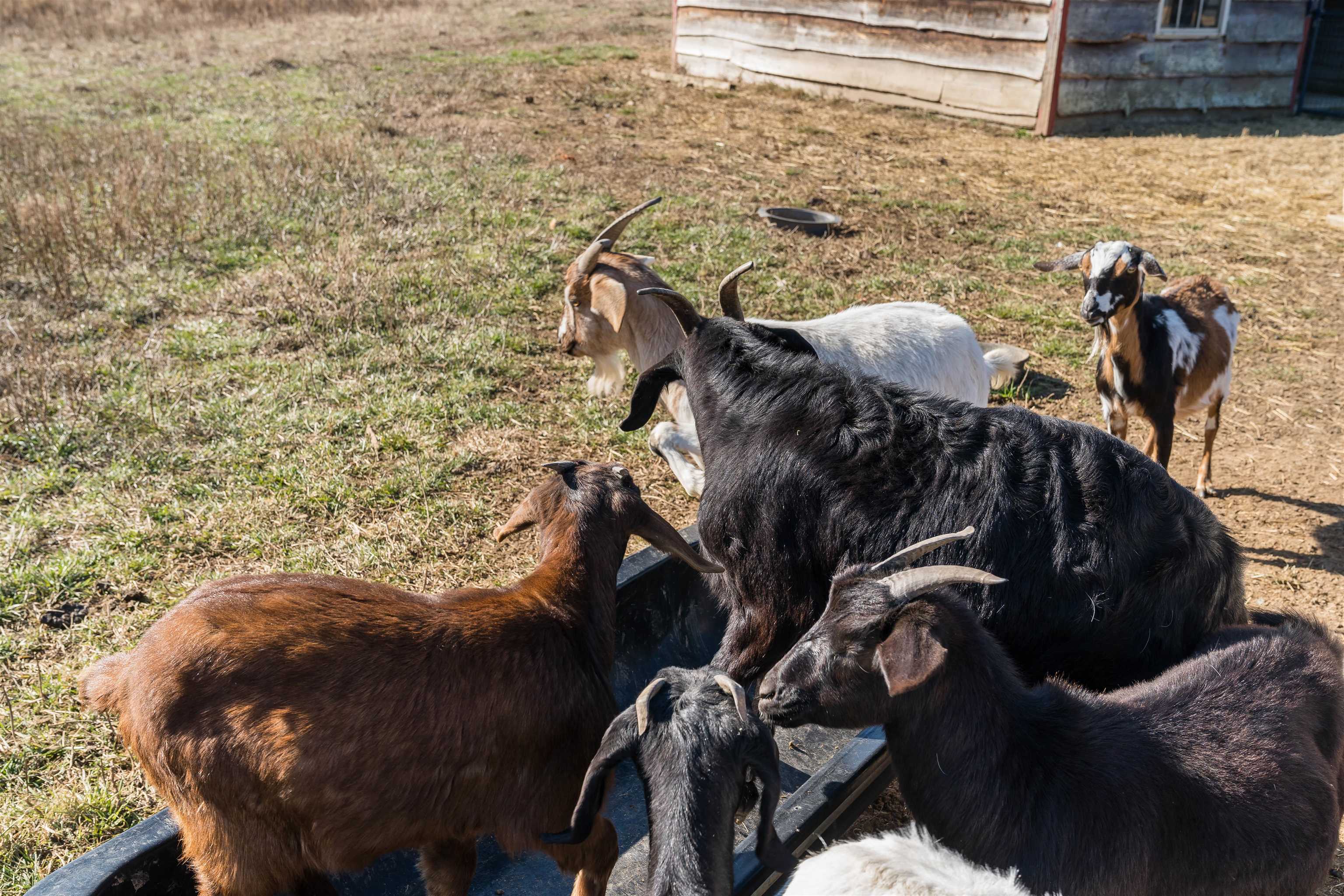 2901 Bishop Road Inman, SC 29349 - Photo 33 of 35
