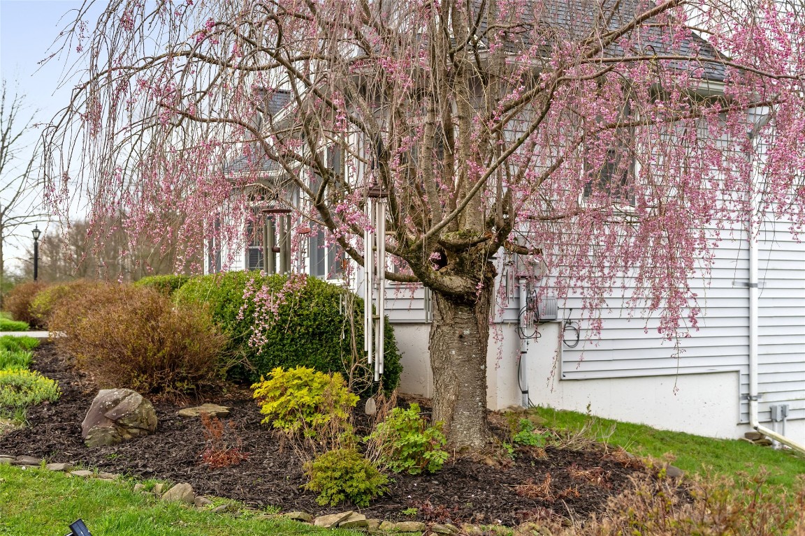 955 Ballyhack Road Port Crane, NY 13833 - Photo 39 of 43 Gallery Image 39
