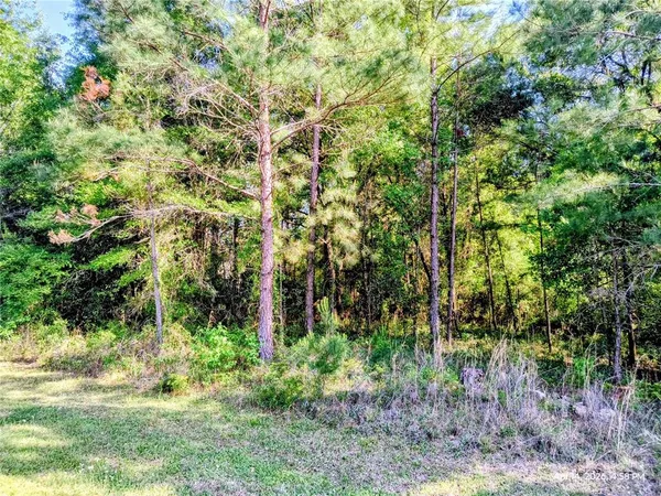 $155,000 | Tbd Northwest 142nd Street, Williston, FL 32696