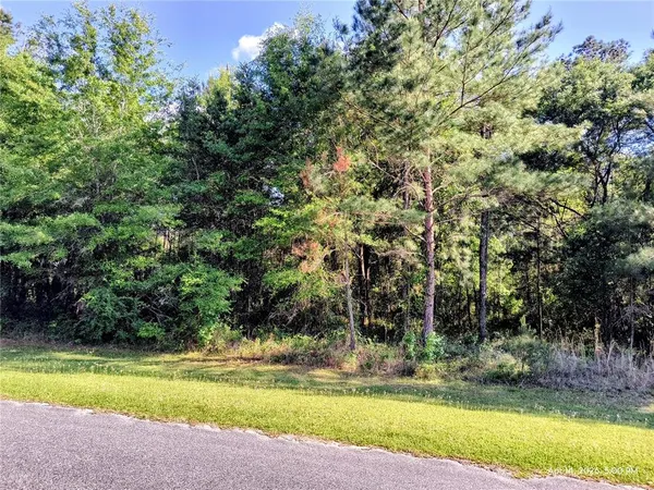 $155,000 | Tbd Northwest 142nd Street, Williston, FL 32696