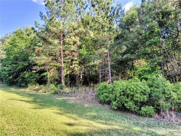 $155,000 | Tbd Northwest 142nd Street, Williston, FL 32696