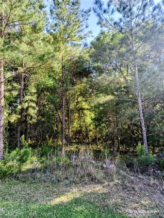 $155,000 | Tbd Northwest 142nd Street, Williston, FL 32696