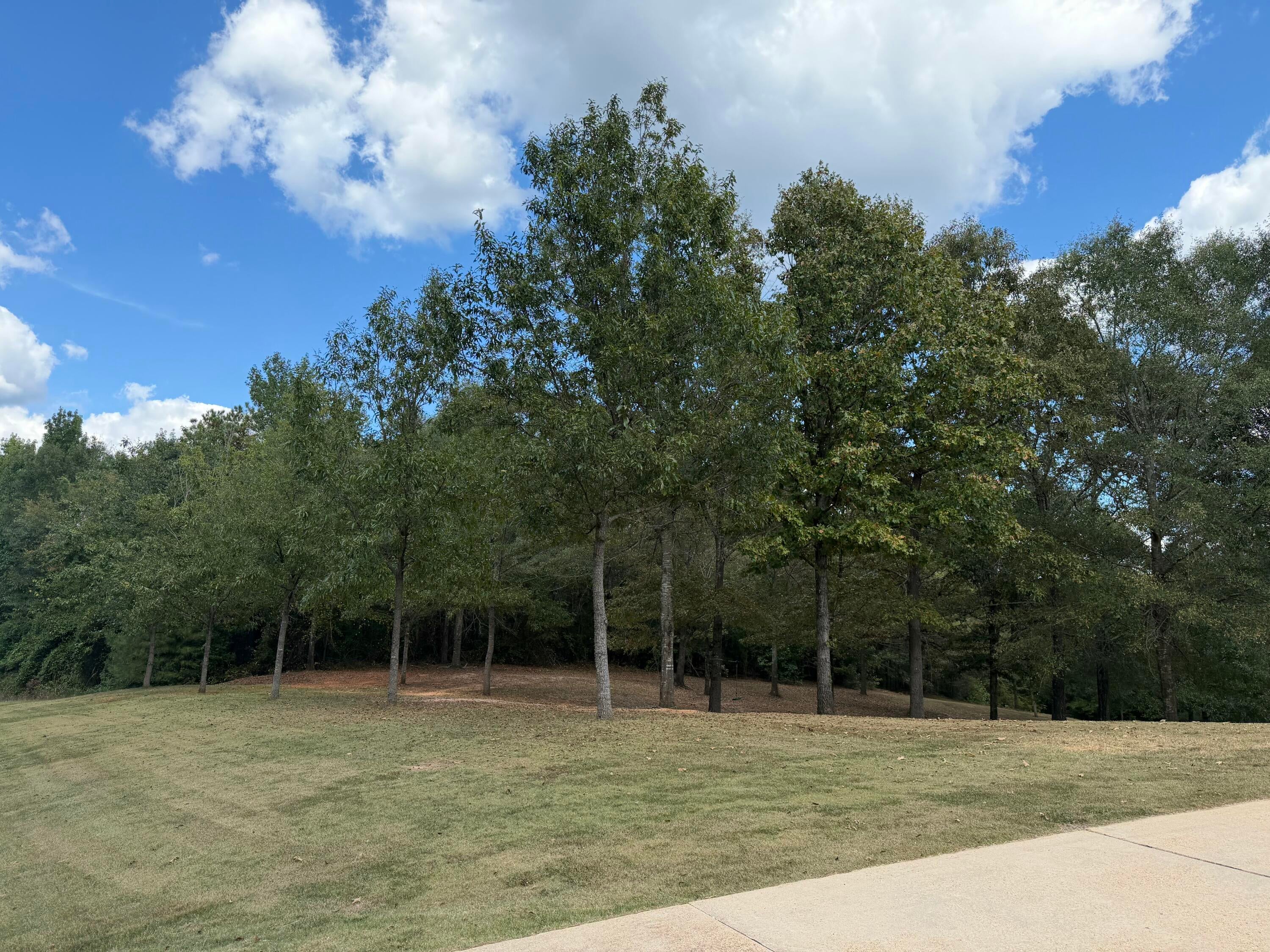 40342 Grubb Springs Road Hamilton, MS 39746 - Photo 44 of 45 Gallery Image 44