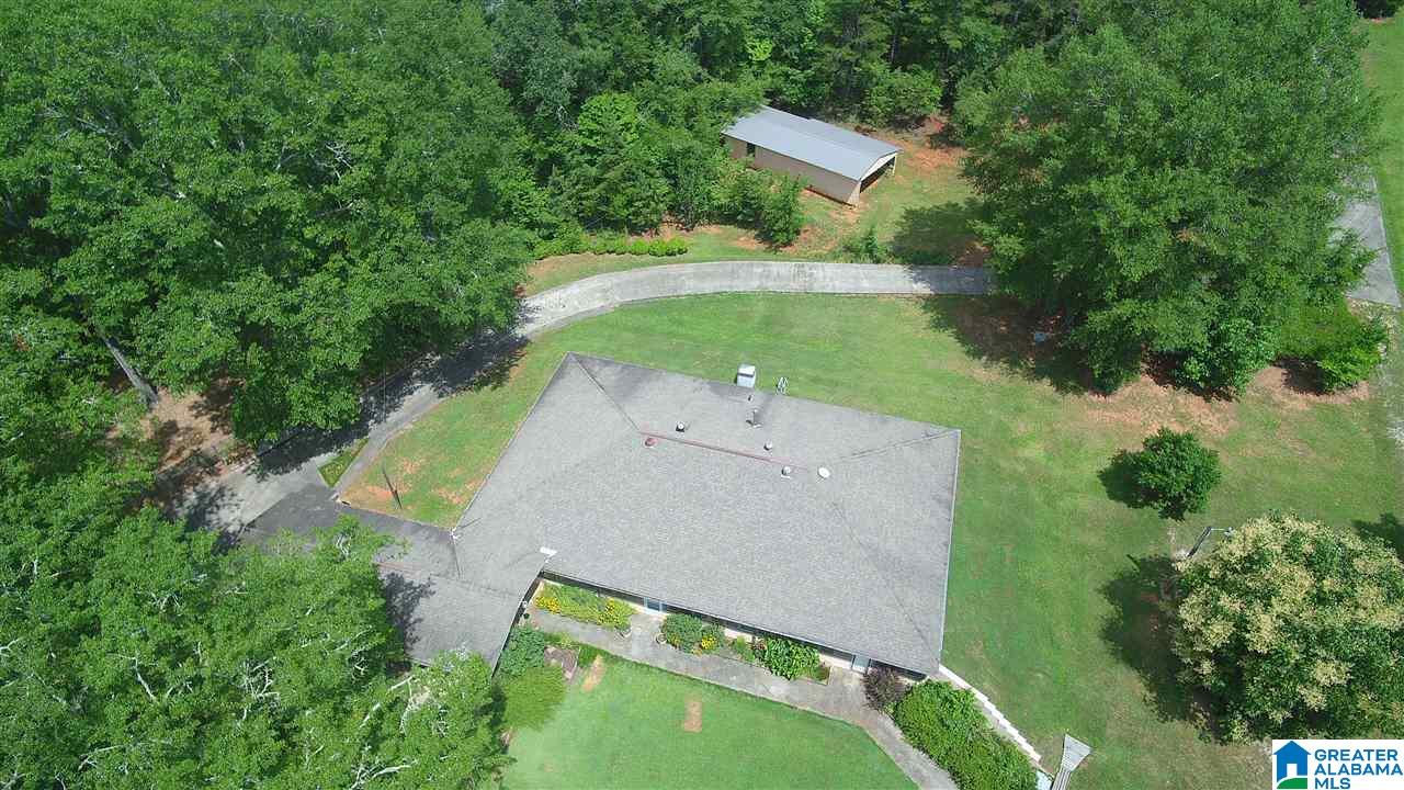 231 County Road 2012 Delta, AL 36258 - Photo 19 of 24