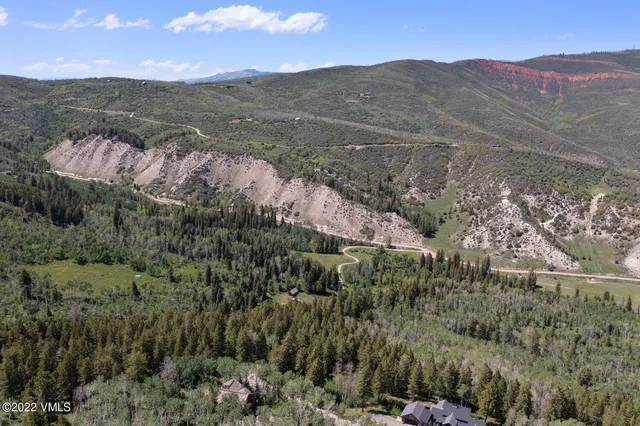 a view of a forest with mountains in the background