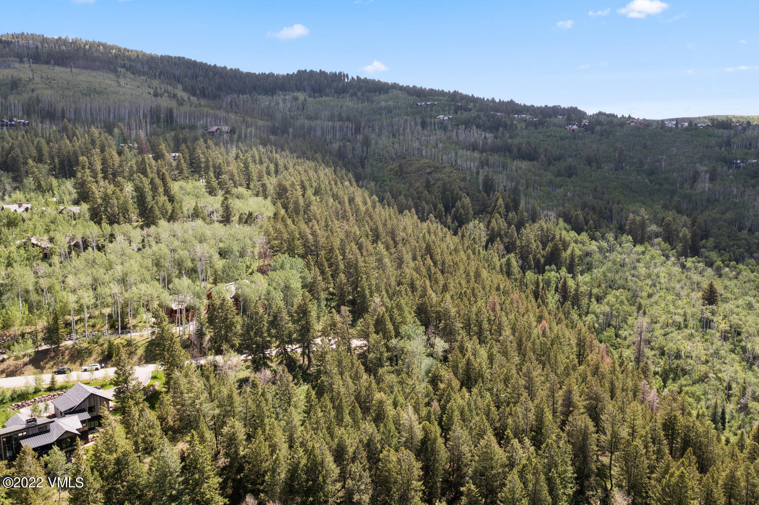 370 Peregrine Drive Edwards, CO 81632 - Photo 5 of 7 a view of a forest with mountains in the background