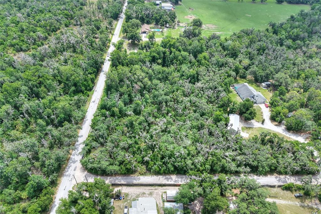 600 Thompson Road Lithia, FL 33547 - Photo 3 of 6