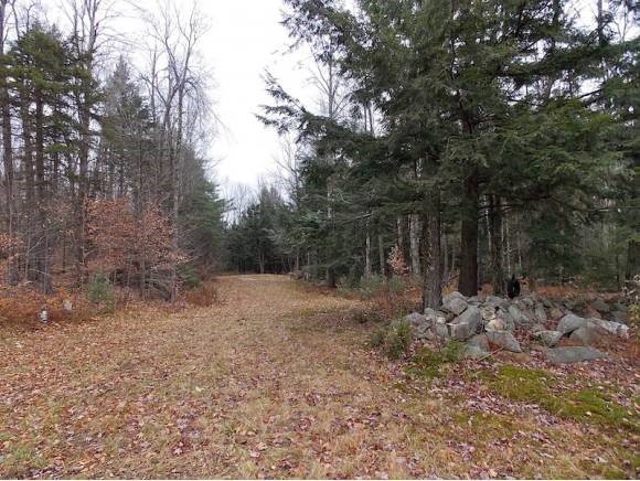 Lot 18 Chapel Hill Road Whitingham, VT 05361 - Photo 2 of 2
