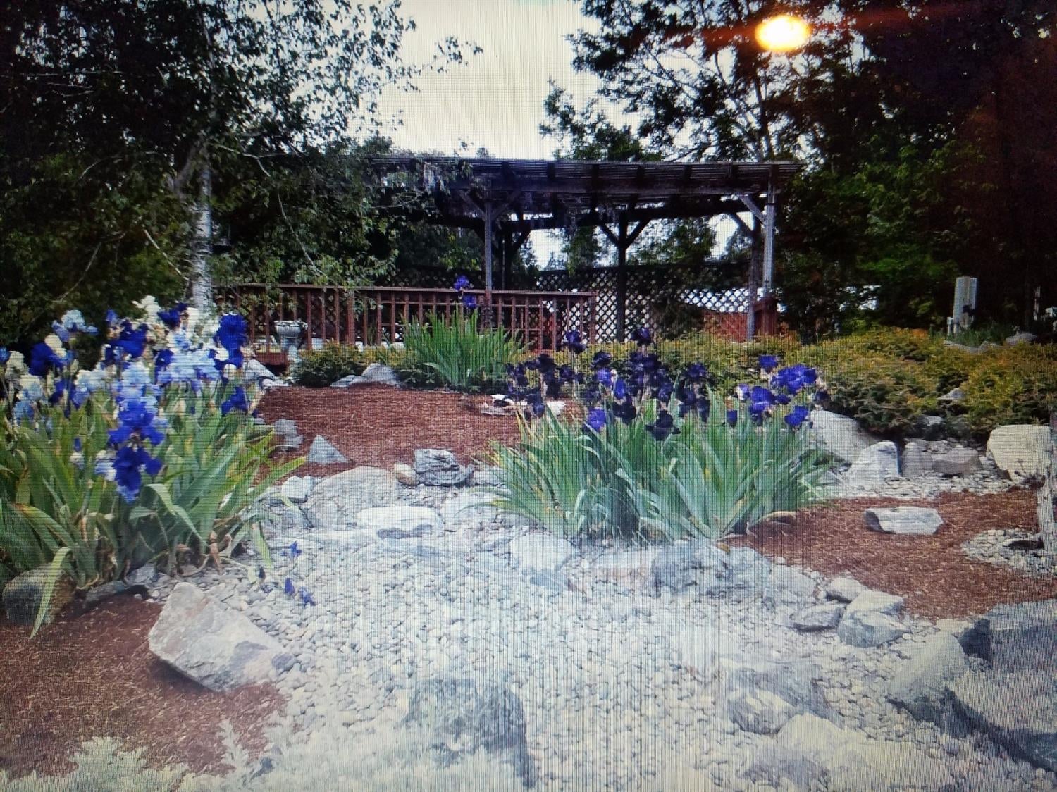 505 Draper Valley Road Selma, OR 97538 - Photo 22 of 27 Additional Photo