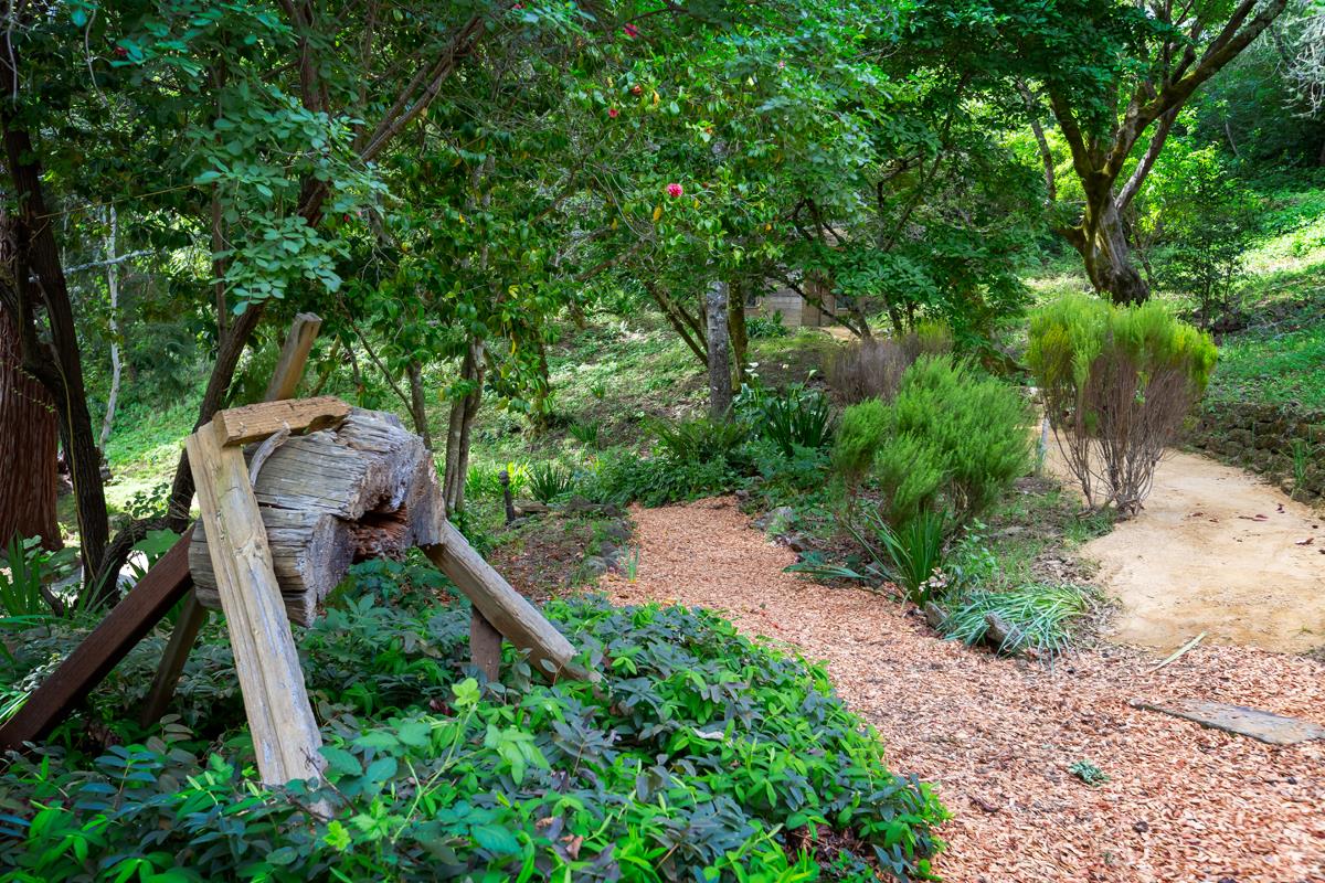 377 Wayside Road Portola Valley, CA 94028 - Photo 30 of 43