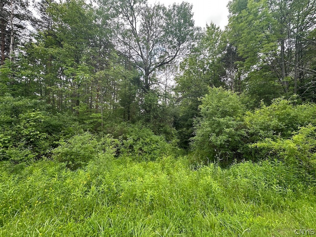 Townline Road Angelica, NY 14709 - Photo 5 of 13