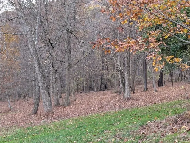 a view of a green field