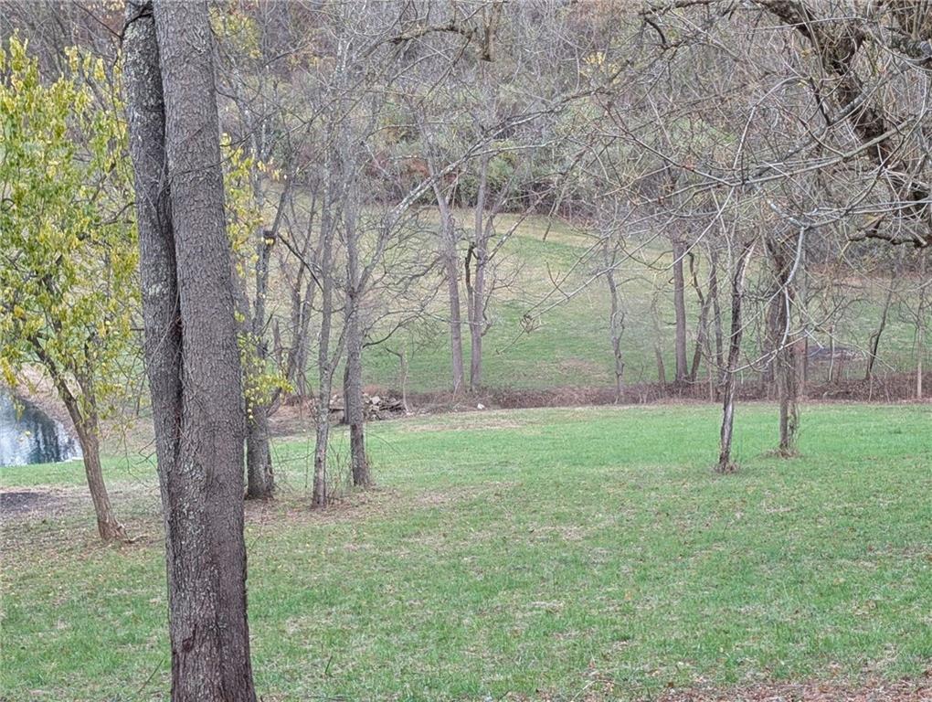4 A Sugar Run Road Eighty Four, PA 15330 - Photo 6 of 13 a view of a backyard with large trees