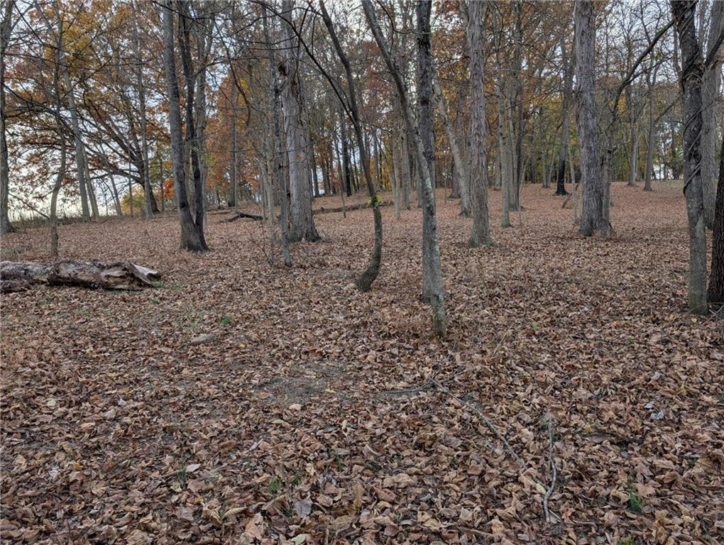 4 A Sugar Run Road Eighty Four, PA 15330 - Photo 9 of 13 a view of a yard with a tree