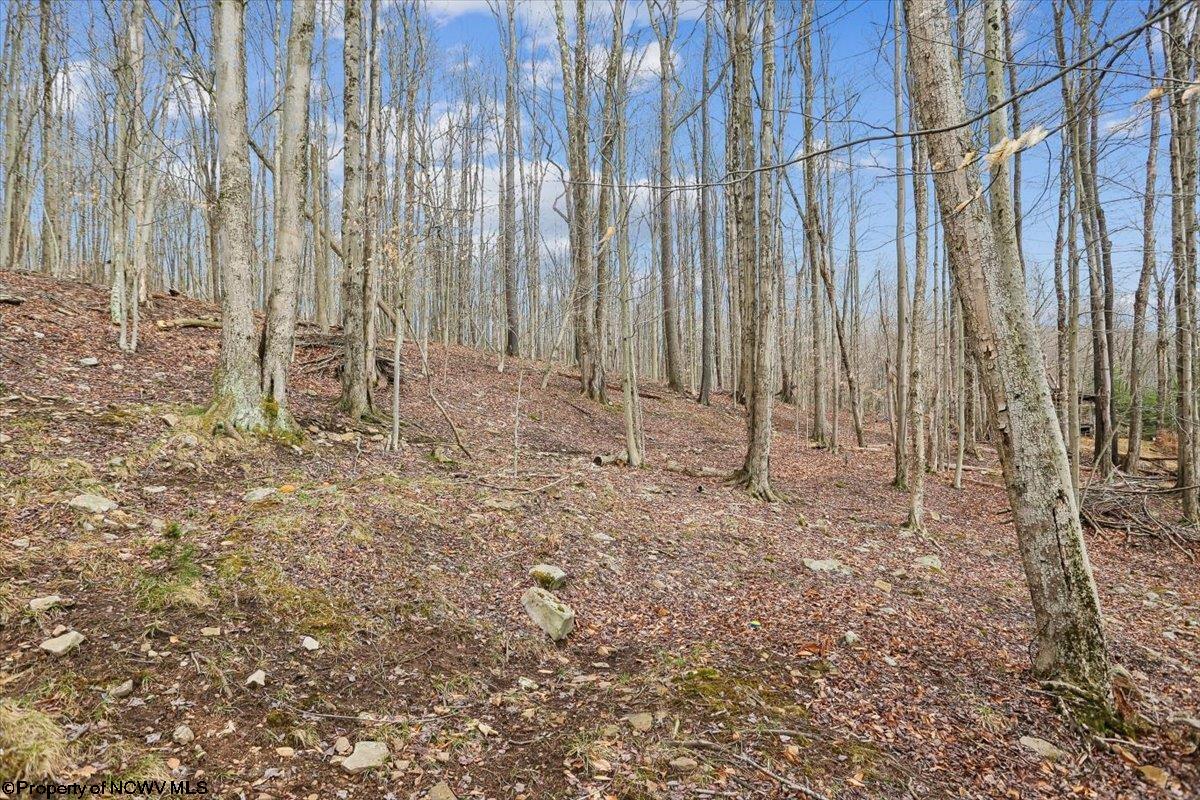 54 Cabin Mountain Road Davis, WV 26260 - Photo 38 of 48 Gallery Image 38