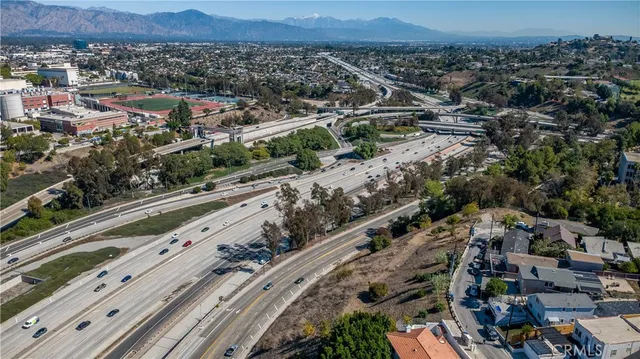 a view of banana tree