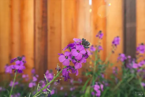 $429,000 | 359 Occidental Circle, Santa Rosa, CA 95401