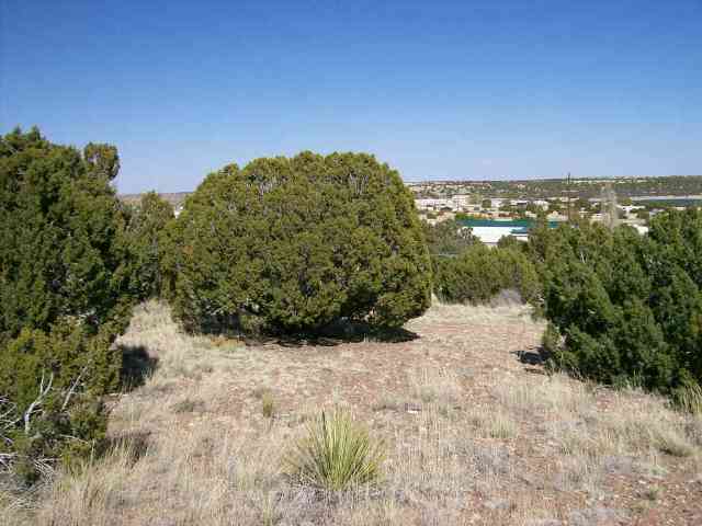 49 Short Lane Concho, AZ 85924 - Photo 1 of 4