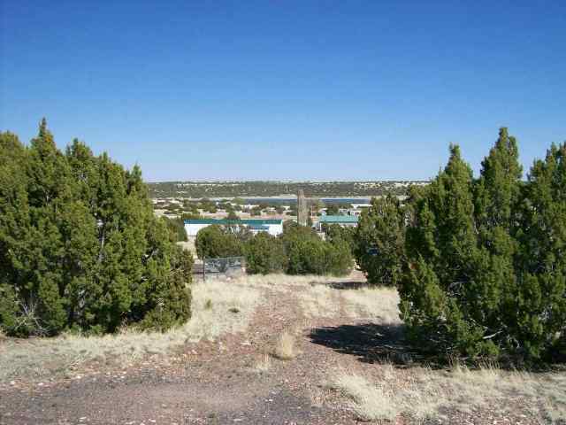 49 Short Lane Concho, AZ 85924 - Photo 3 of 4