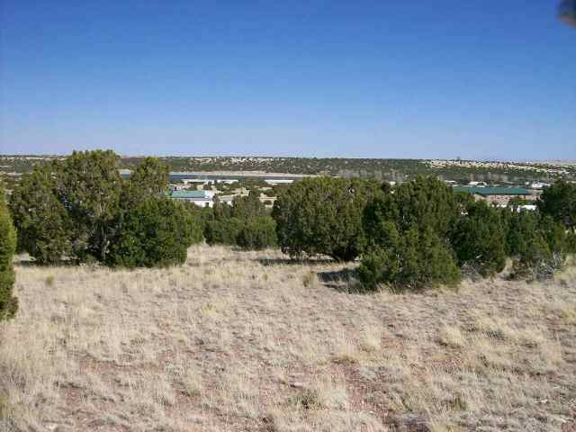 49 Short Lane Concho, AZ 85924 - Photo 4 of 4