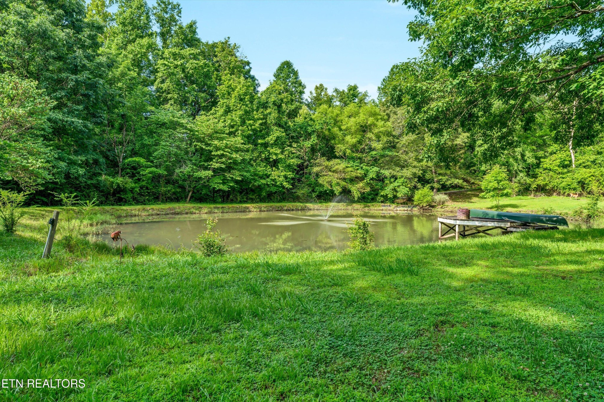 152 Spring Lane Philadelphia, TN 37846 - Photo 40 of 59 Gallery Image 40