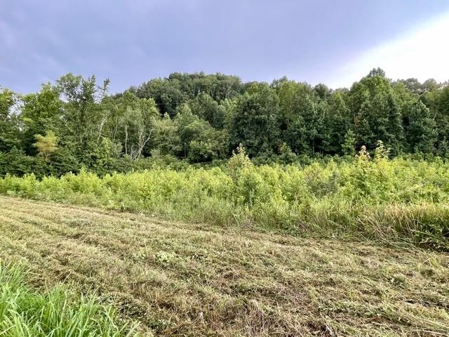 0 Blue Springs Road Philadelphia, TN 37846 - Photo 1 of 11 Gallery Image 1