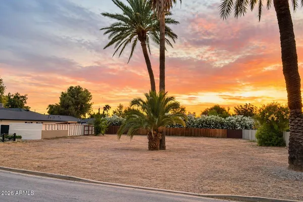 a palm tree sitting in front of a house with a yard