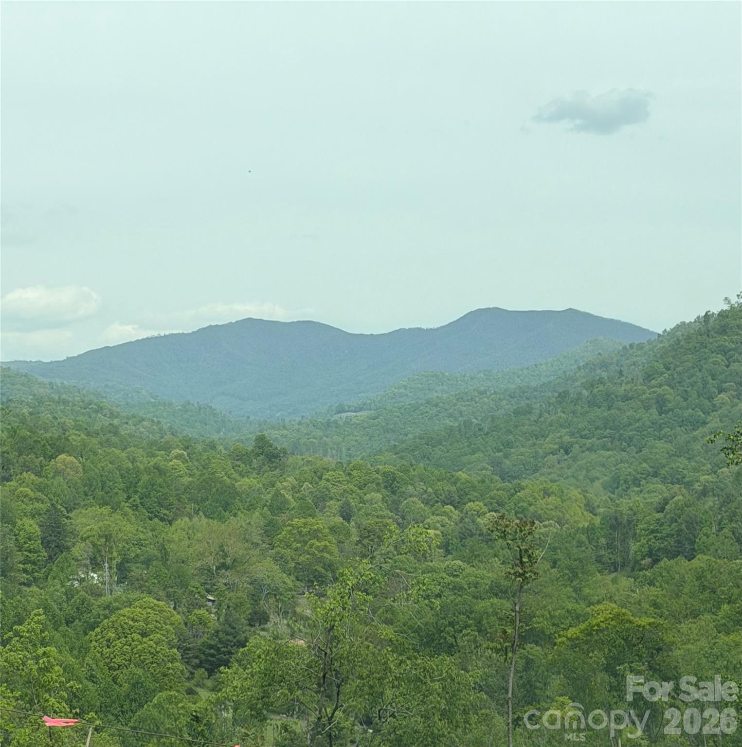 1306 Fork Mountain Road Bakersville, NC 28705 - Photo 32 of 34 a view of a mountain range with lush green forest