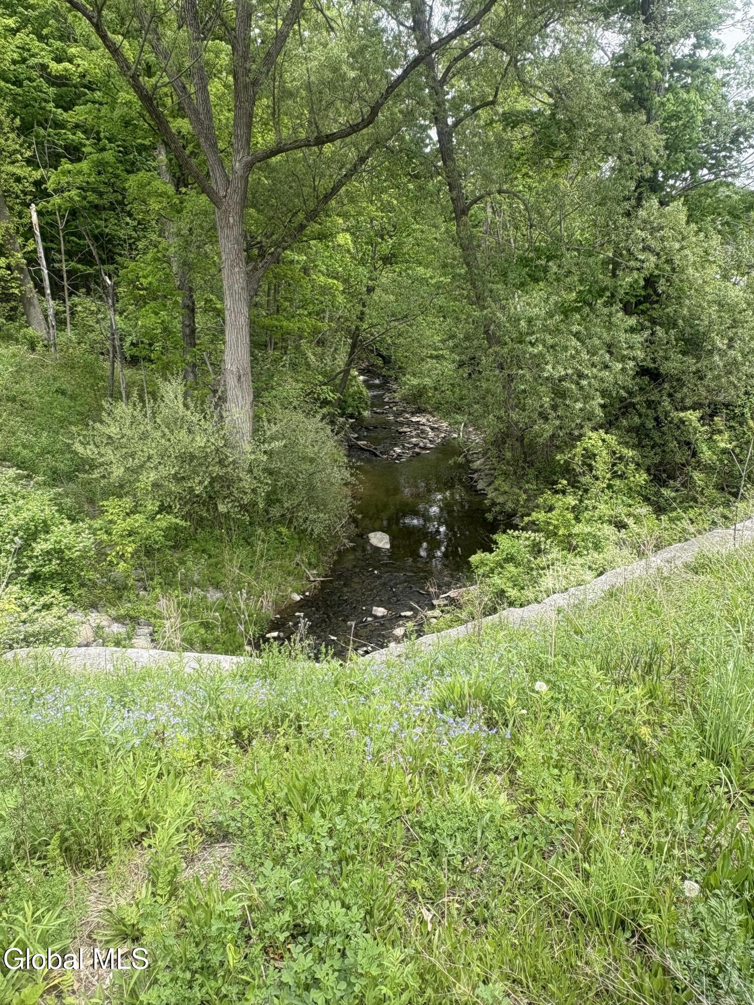 1 Mariaville Road Pattersonville, NY 12137 - Photo 5 of 25 IMG_3937