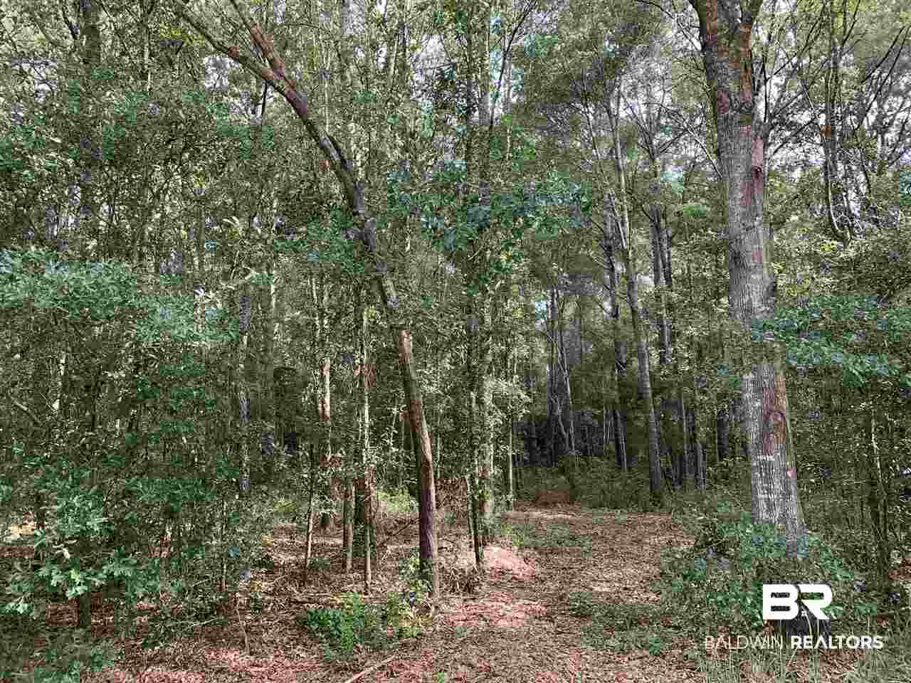 6 Sherwood Highland Road Fairhope, AL 36532 - Photo 4 of 6