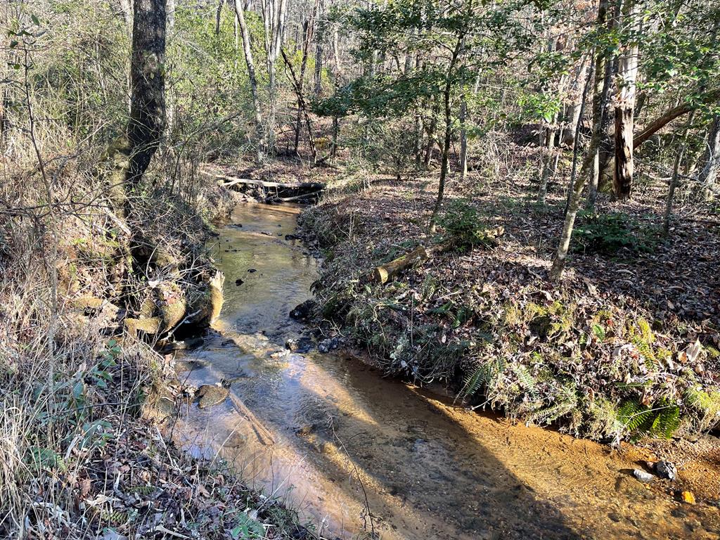 6-7 Idle Lane Blue Ridge, GA 30513 - Photo 27 of 27 Creek