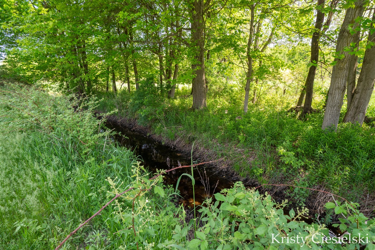2162 South Stone Road Fremont, MI 49412 - Photo 47 of 62