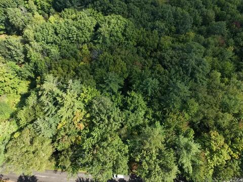 Lot 7 Line Road Greene, ME 04236 - Photo 13 of 16 799486822_3133284570202640_7501116317982