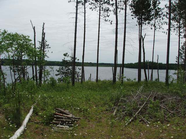 Near Silver Birch Road Park Falls, WI 54552 - Photo 2 of 4 Gallery Image 2