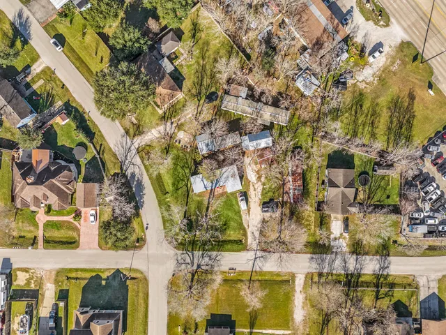 a view of a park with large trees