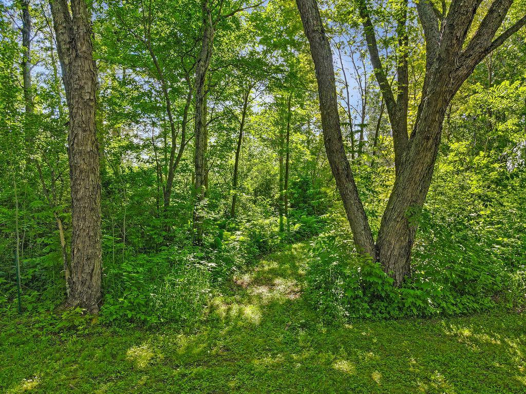 63 Bruce Circle Esko, MN 55733 - Photo 49 of 62