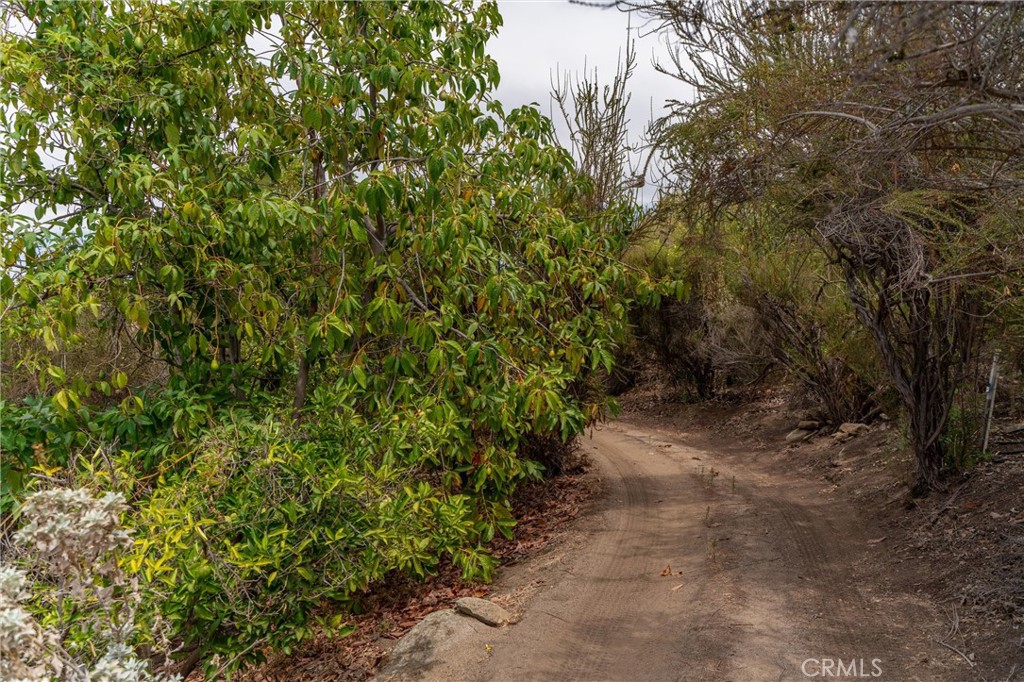 28280 Rawlings Road Hemet, CA 92544 - Photo 65 of 73 Gallery Image 65