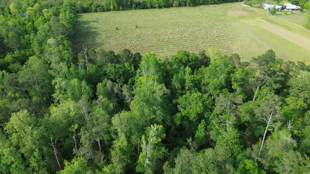 $49,900 | 0 South Oak Road, Chattahoochee, FL 32324