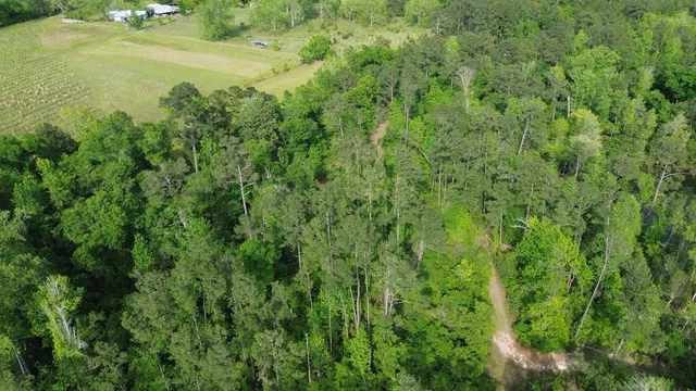 $49,900 | 0 South Oak Road, Chattahoochee, FL 32324