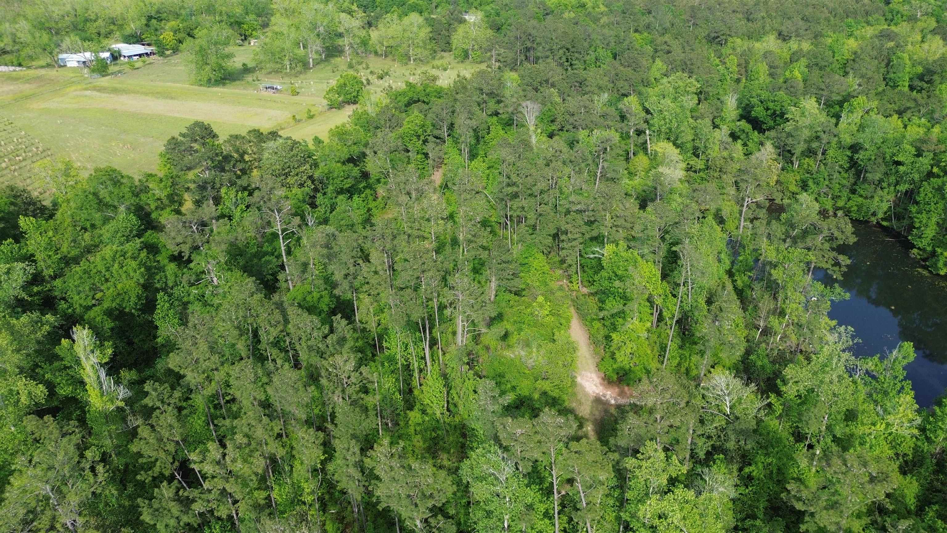 0 South Oak Road Chattahoochee, FL 32324 - Photo 8 of 10