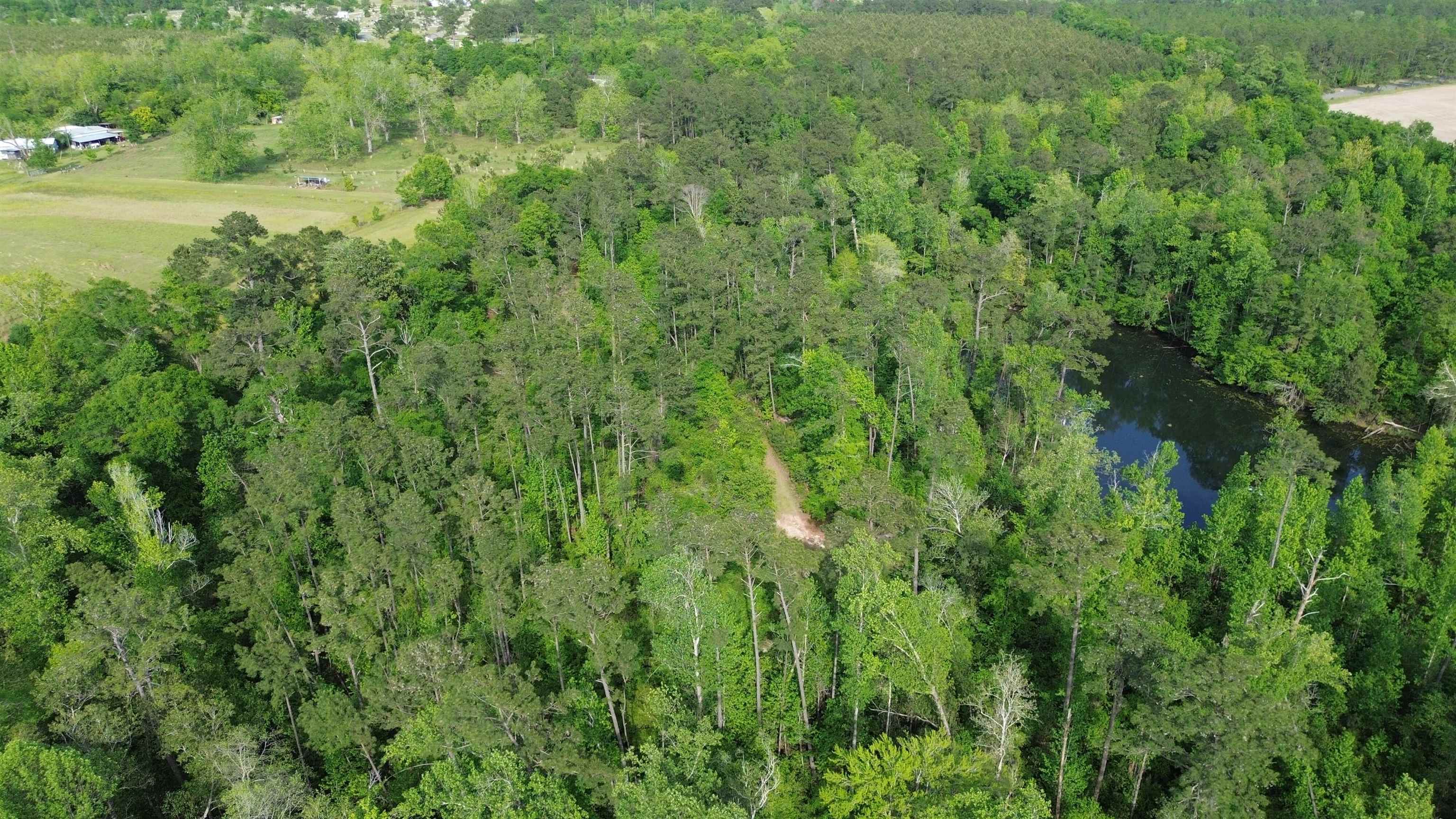 0 South Oak Road Chattahoochee, FL 32324 - Photo 9 of 10