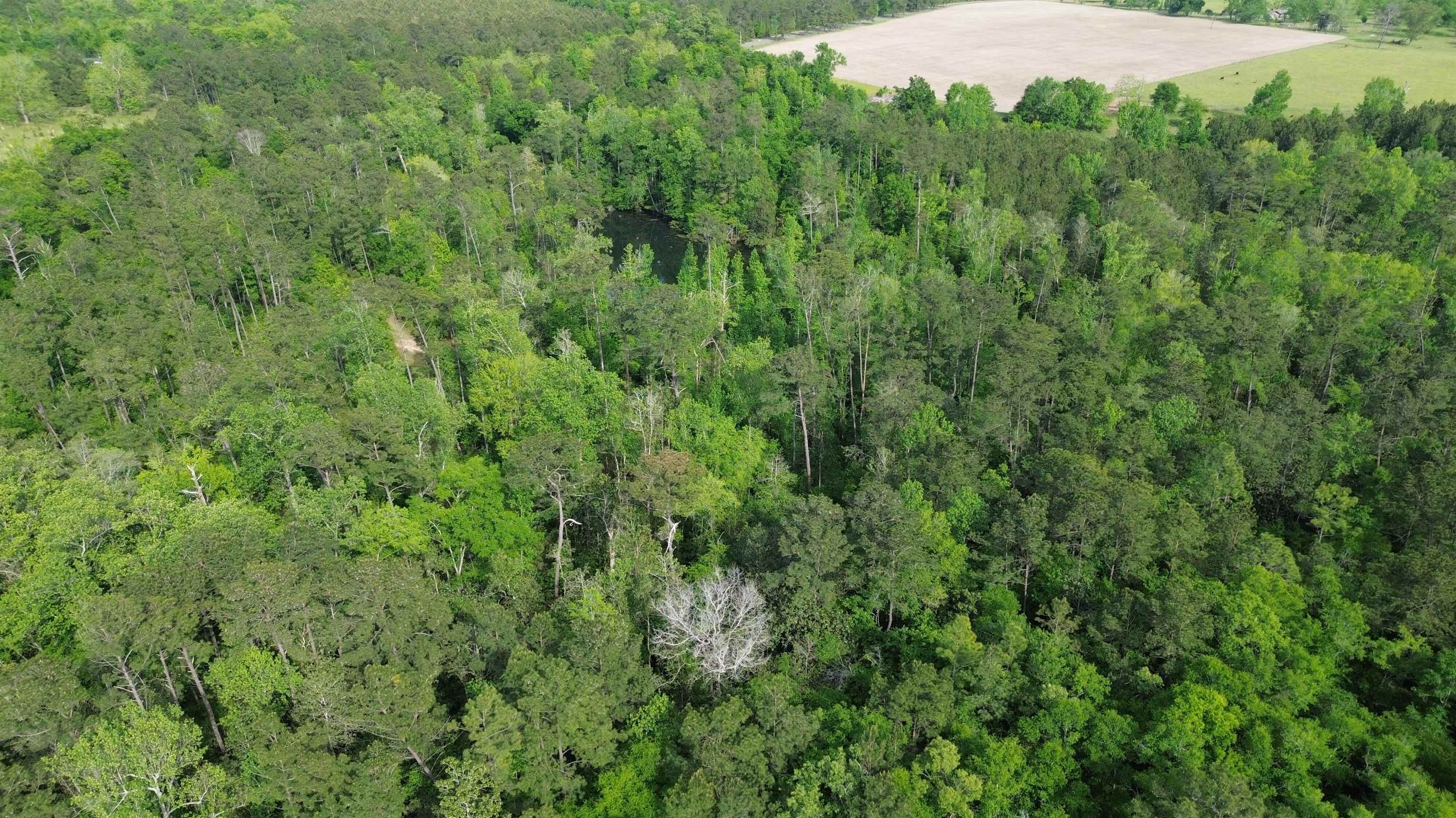 0 South Oak Road Chattahoochee, FL 32324 - Photo 10 of 10